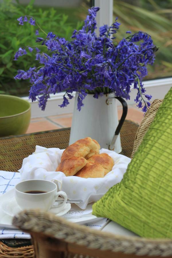 Ty Llwyd Bed & Breakfast Treffynnon Exterior photo